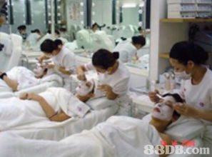 愛妮美容專業(yè)培訓學院 提供發(fā)型設計課程 美甲課程 特效化妝課程等服務